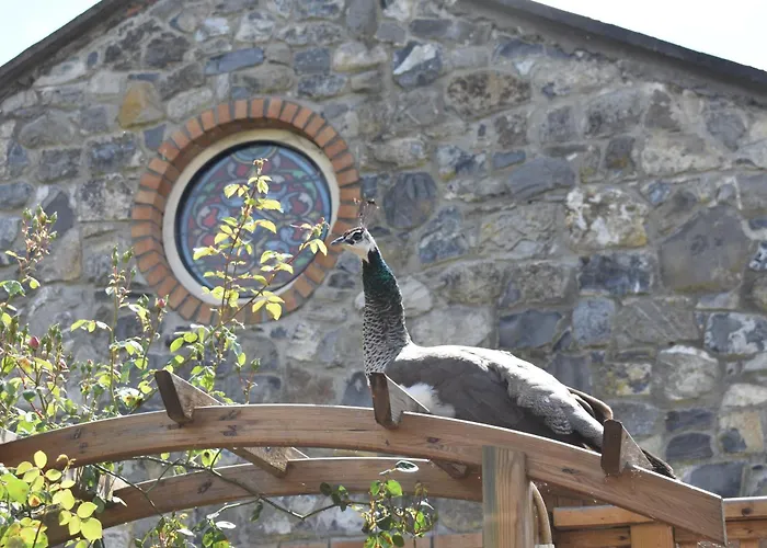 #2 The Stone House At Alensgrove Tatil Evi *